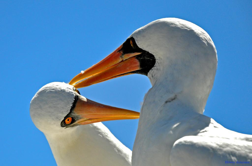 مبيت وإفطار بويرتو بكويريزو مورينو Galapagos Eco Friendly المظهر الخارجي الصورة