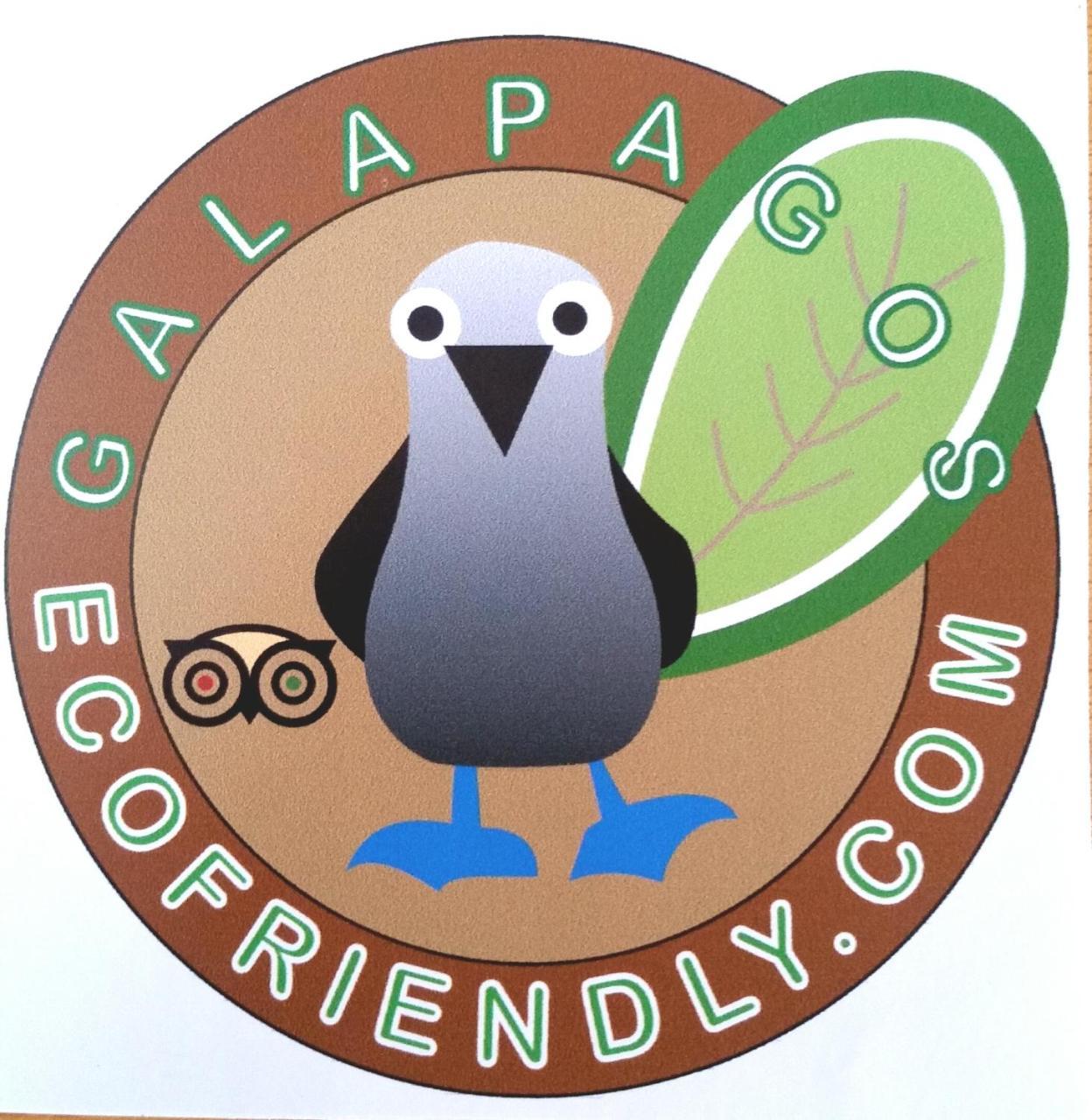 مبيت وإفطار بويرتو بكويريزو مورينو Galapagos Eco Friendly المظهر الخارجي الصورة